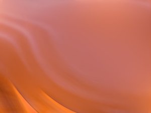 新人学行为分析最需要掌握的内容